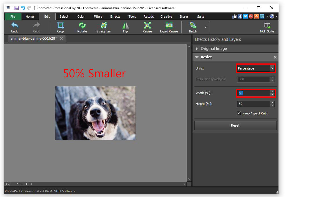 Resizing a picture by percentage