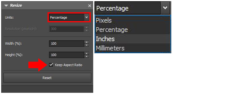 Selecting units for resizing a picture