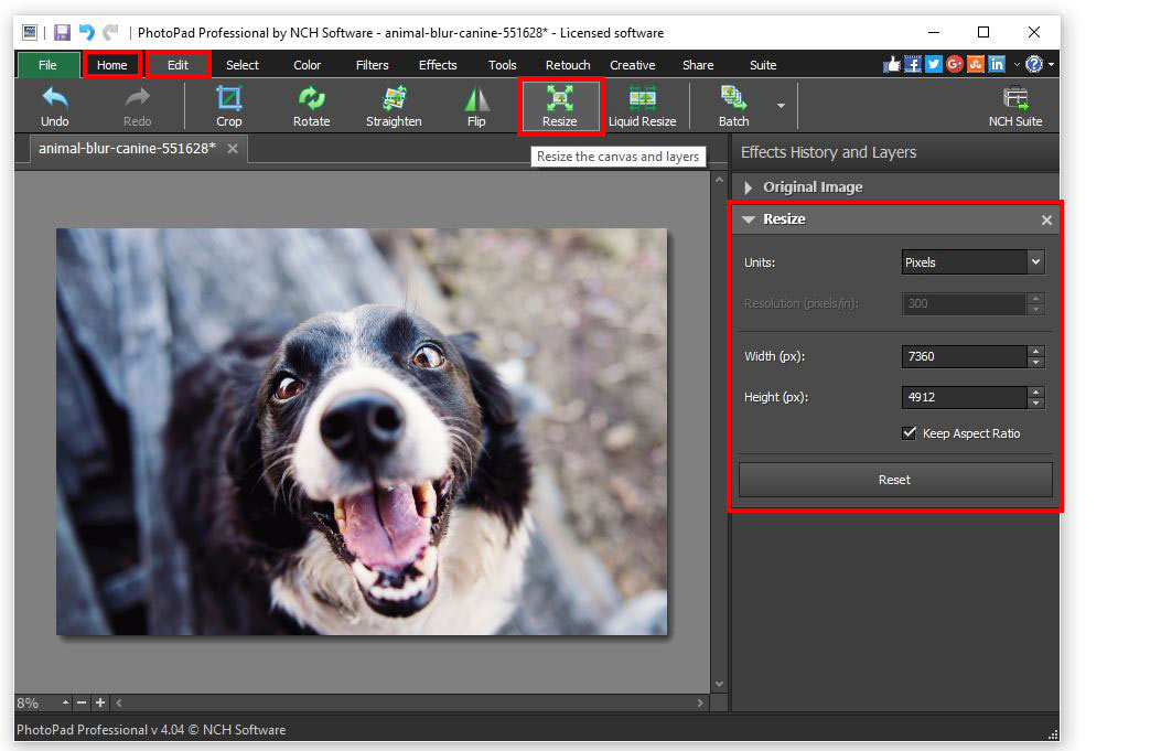 How to resize a picture