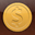 Copper Pro Edition icon