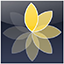 Express Animate icon