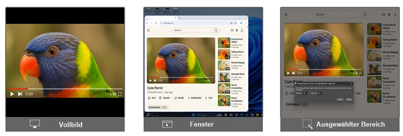 Einen ausgwählten Bereich, ein einzelnes Fenster oder den gesamten Bildschirm aufnehmen.