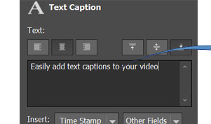 Adicione legendas e textos à medida que você grava a partir de sua tela, webcam ou dispositivo de captura de vídeo.
