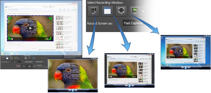 您可以通过各种方式轻松快速地指定录屏范围，例如指定整个屏幕或特定的屏幕范围