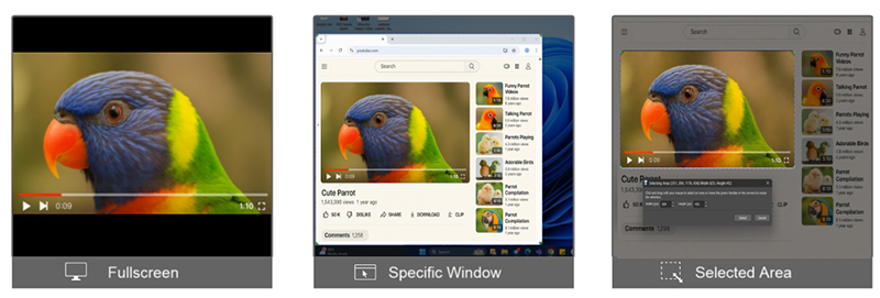 Record selected area, a single window or the entire screen.