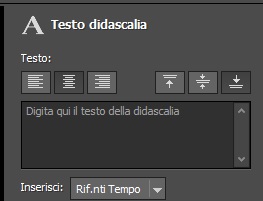 Aggiungi didascalie e testo mentre registri dallo schermo, dalla webcam o dal dispositivo di acquisizione video.