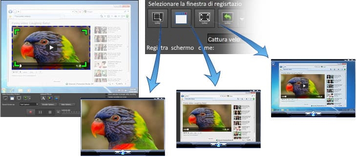 Registra regioni selezionate, una singola finestra o l'intero schermo.