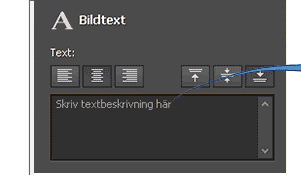 Lägg till bildtexter och text när du spelar in från din skärm, webbkamera eller videoinspelningsenhet.