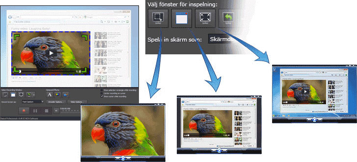 Spela In Med Webbkamera Windows 10