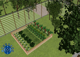 Garden Design