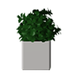 Plants 3D Model