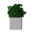 Växter 3D-modell