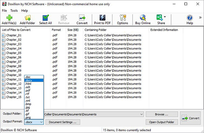 Image displaying how to set an document file output format in Doxillion Document Converter Software