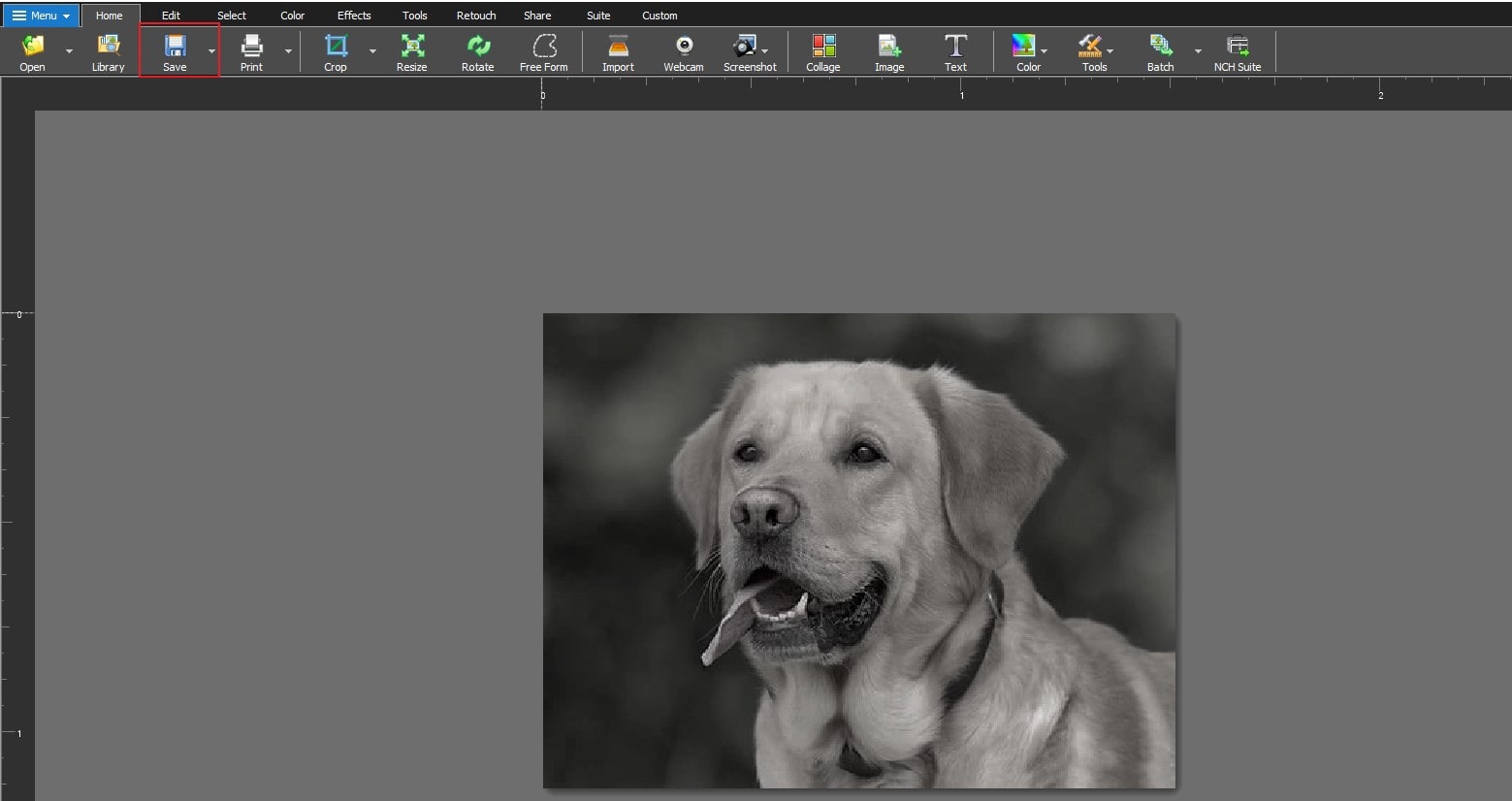 Image displaying how to save grayscale image