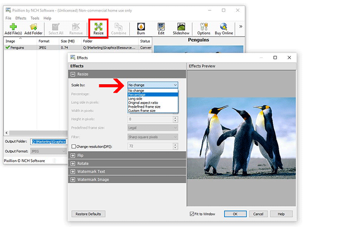 Image displaying how to resize R3D images in Pixillion Image Converter Software