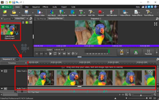 Drag and drop video to sequence timeline.
