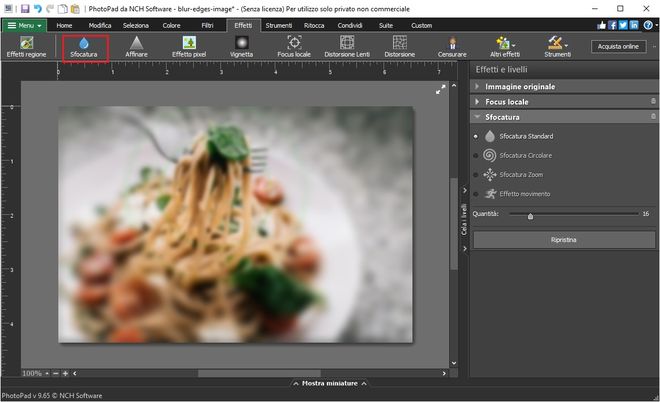 Immagine che mostra come sfocare completamente immagini RAW in PhotoPad Editor di Foto