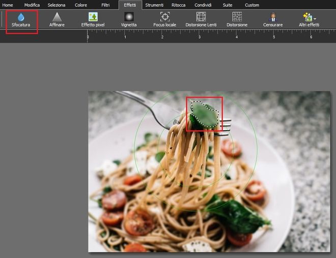 Immagine che mostra come sfocare una parte specifica di una immagine ERF in PhotoPad Editor di Foto