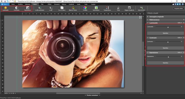 Regola la luminosità, il contrasto e l'esposizione.