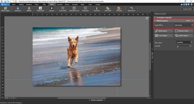 Immagine che mostra come convertire immagini DNG in scala di grigi in PhotoPad Editor di Foto