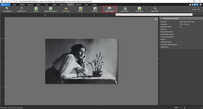 Immagine che mostra come aggiungere colore alla foto in bianco e nero