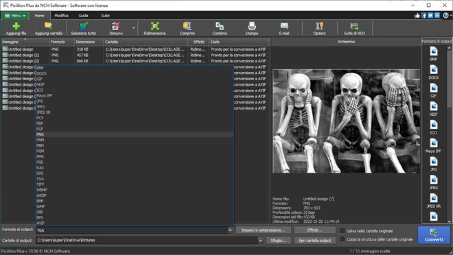 Immagine che mostra come impostare un formato di output del file image in Pixillion Software Convertitore di Immagini