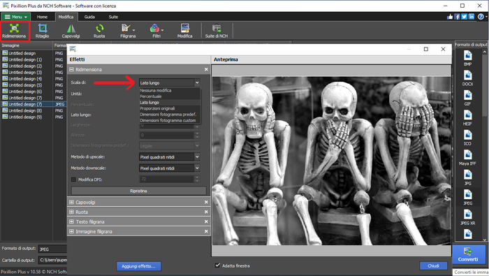 Immagine che mostra come ridimensionare le immagini SR2 in Pixillion Software Convertitore di Immagini