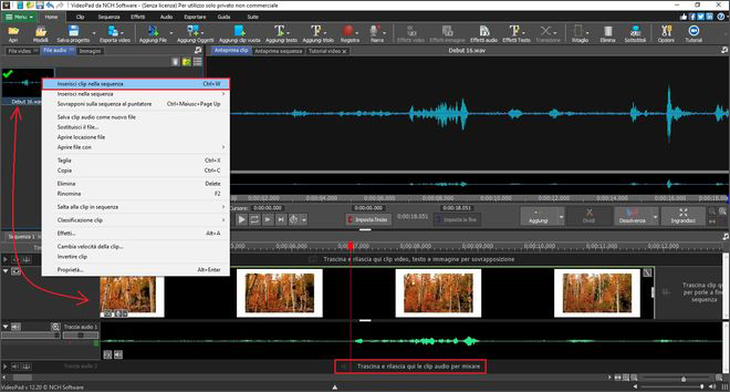 Immagine che mostra come aggiungere audio al video