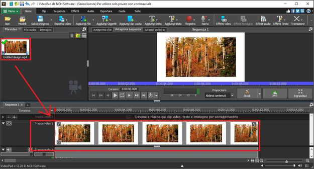 Trascina il video nella timeline della sequenza.