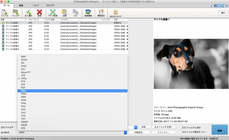 Pixillion画像ファイル変換ソフト【Mac版】 11.64 full