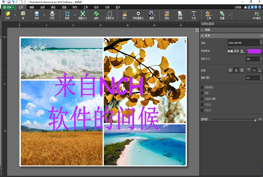 PhotoPad 照片/图像编辑软件添加文本屏幕快照