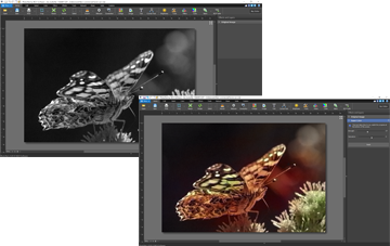 【未開封】画像管理・編集ソフト 画像編集ソフトウェア OM Workspace | OM Digital Solutions