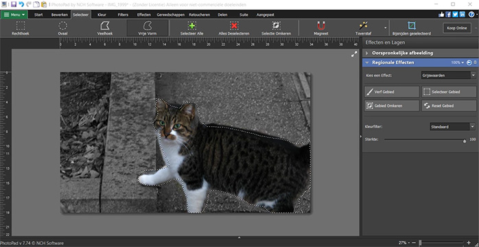 PhotoPad Photo Editing Software fotobewerking effecten screenshot