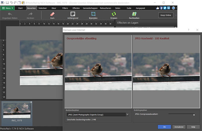 PhotoPad Photo Editing Software formaat foto's screenshot