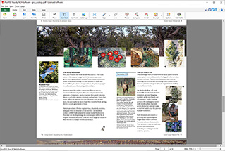 Schermata del software di editing PDF gratuito PicoPDF