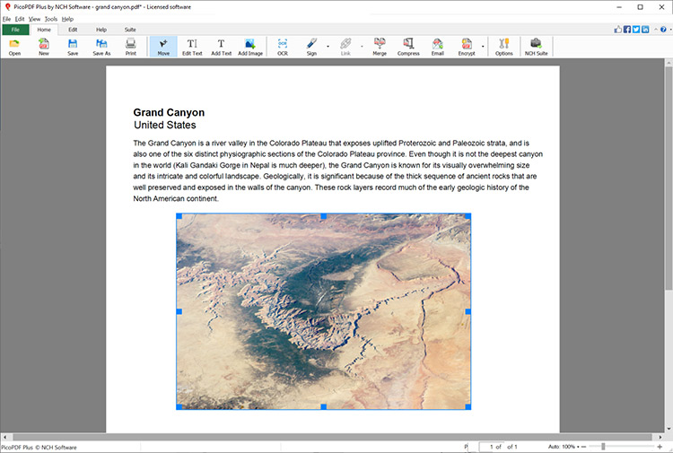 PicoPDF move text/images tool