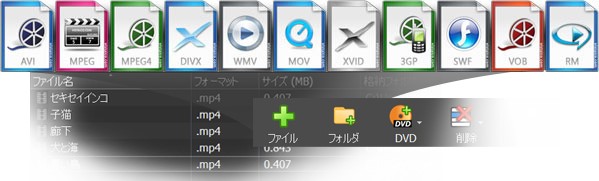 Prism動画ファイル変換ソフト　動画タイプのスクリーンショット