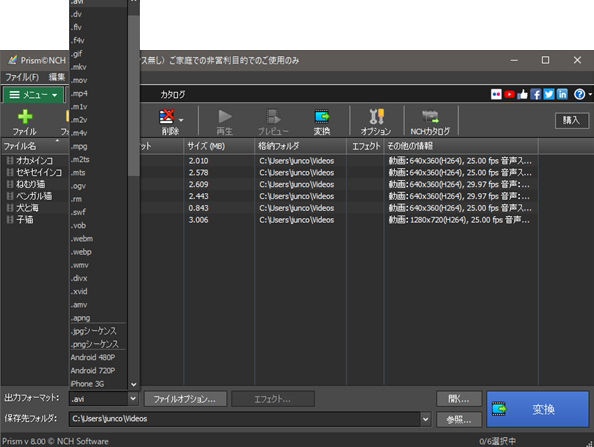 Prism動画ファイル変換ソフトの出力オプションのスクリーンショット