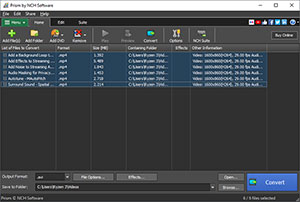 Prism Video Converter Software screenshot