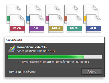Ladda ner Prism Video Converter