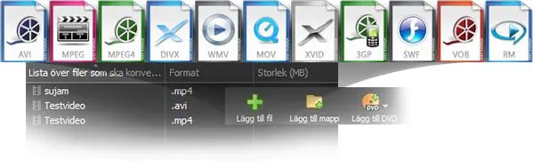 Prism Video Filformat Converter Software videotyper skärmdump