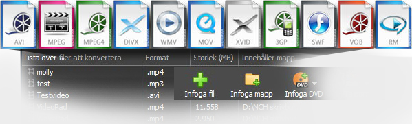 Prism Videokonverterare videotyper skärmdump