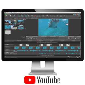 Download Videopad Today