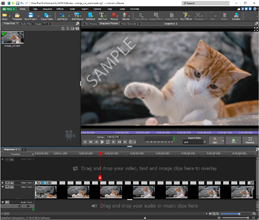 Video mit Wasserzeichen